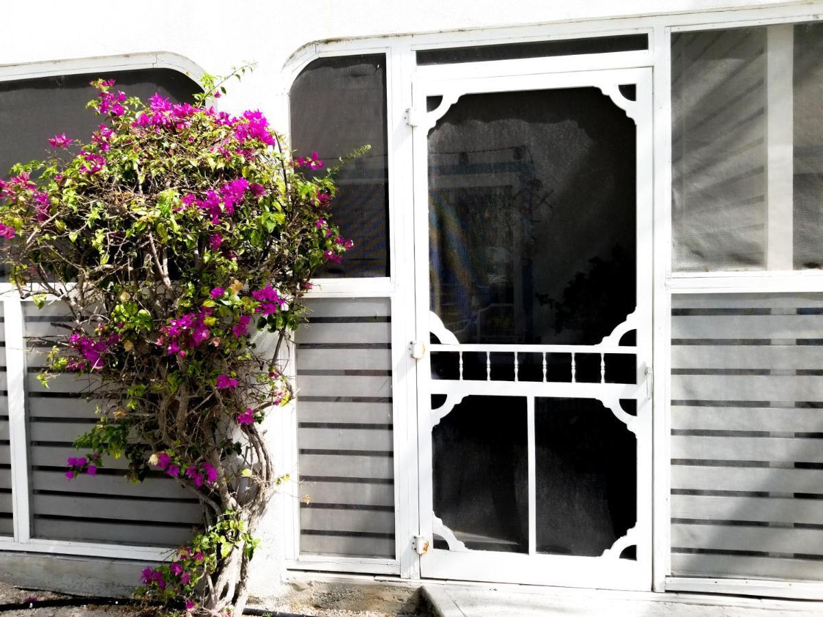 فندق Grace Bay Place المظهر الخارجي الصورة